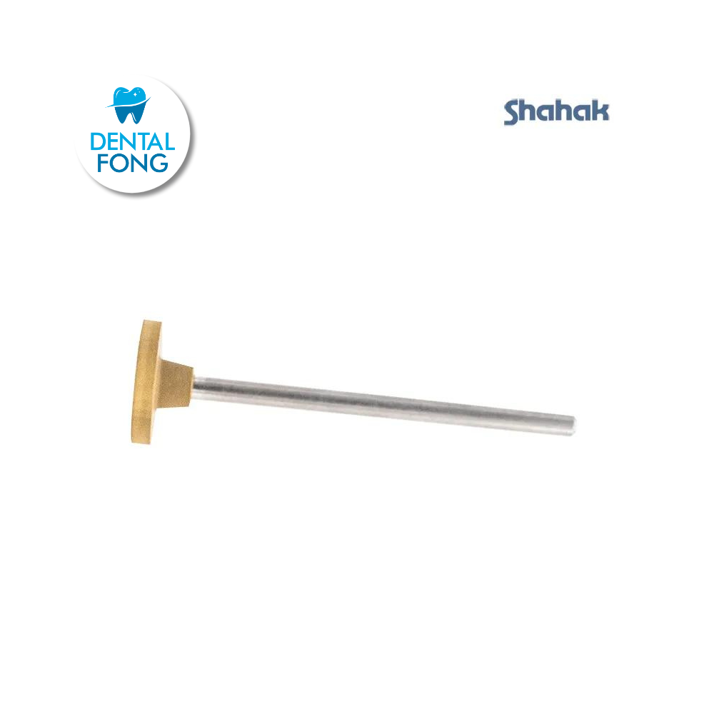 PIEDRA MONTADºA 1020P 2mm CARRO SHAHAK