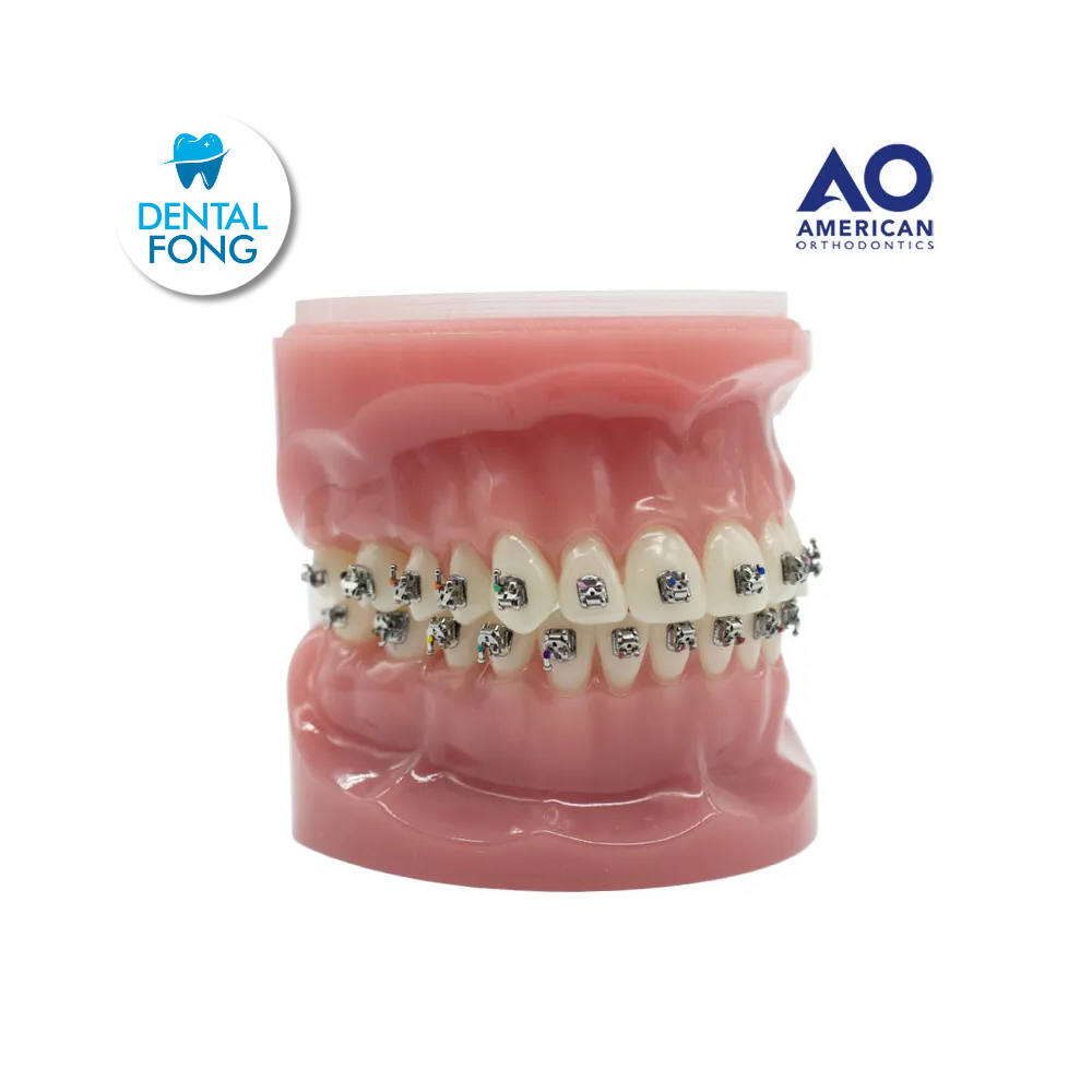 P/E TIPODONTO CON BRACKET EMPOWER