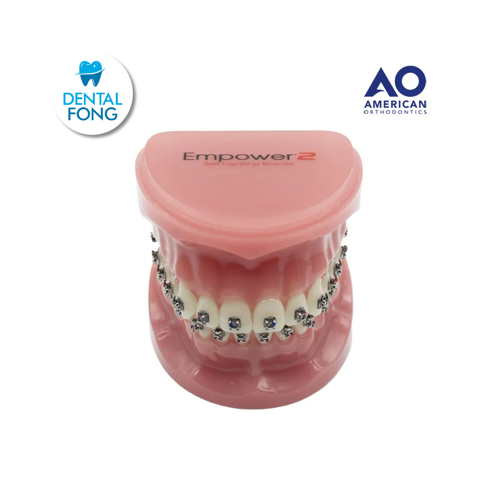 P/E TIPODONTO CON BRACKET EMPOWER