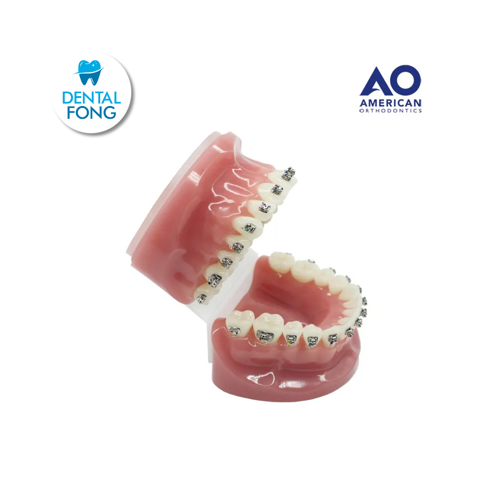 P/E TIPODONTO CON BRACKET EMPOWER