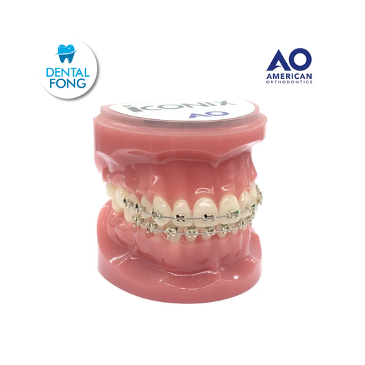 P/E TIPODONTO CON BRACKET ICONIX