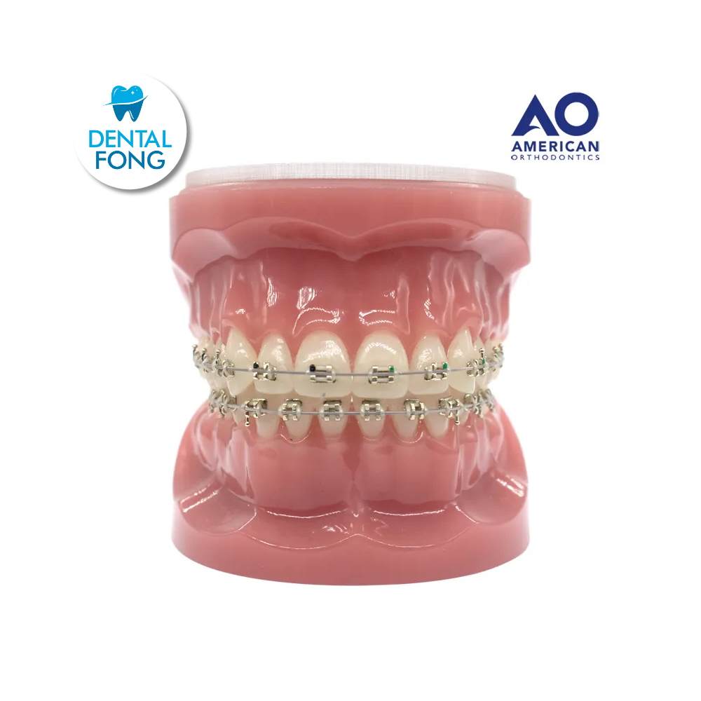 P/E TIPODONTO CON BRACKET ICONIX