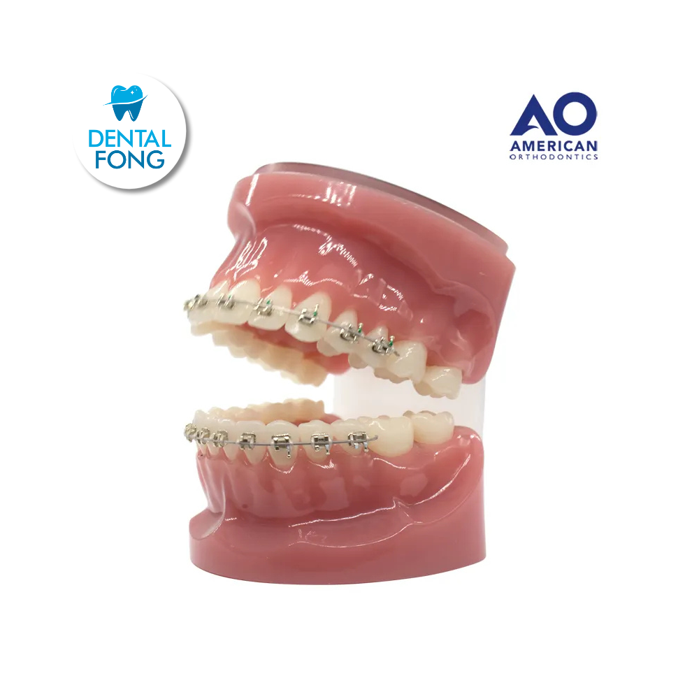 P/E TIPODONTO CON BRACKET ICONIX