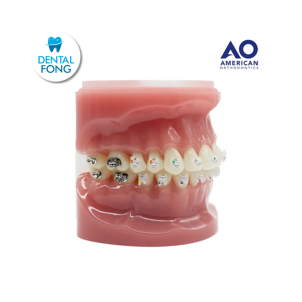 P/E TIPODONTO C/BRACKET CLEAR EMPOWER