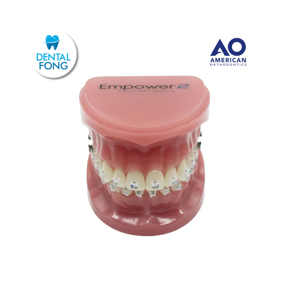 P/E TIPODONTO C/BRACKET CLEAR EMPOWER